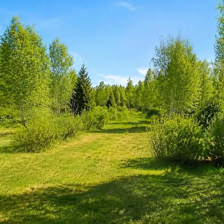 Moori Põhjataeva Mäeonn- Northern Sky Hilltop Korjuse